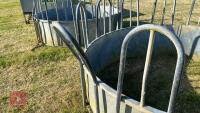 GALVANISED TOMBSTONE CATTLE FEEDER - 5