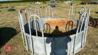 GALVANISED TOMBSTONE CATTLE FEEDER - 6