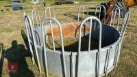 GALVANISED TOMBSTONE CATTLE FEEDER - 7