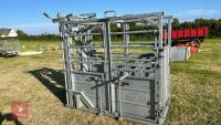 IAE SARACEN GALVANISED CATTLE CRUSH - 2