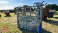 IAE SARACEN GALVANISED CATTLE CRUSH - 6