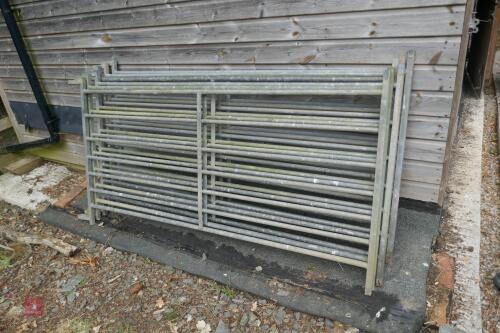 5 GALVANISED 6' SHEEP HURDLES