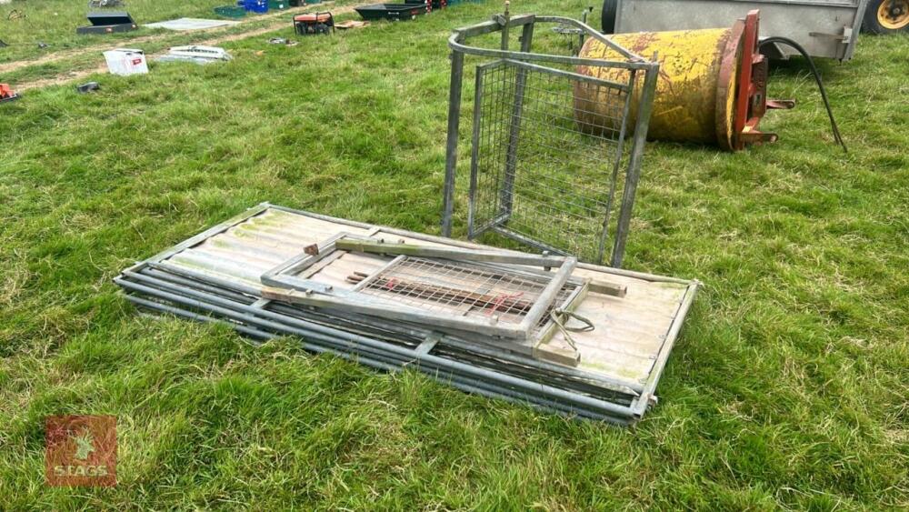 GALVANISED SHEEP HANDLING RACE