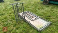 GALVANISED SHEEP HANDLING RACE - 4