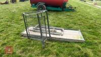 GALVANISED SHEEP HANDLING RACE - 5