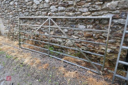 10' GALVANISED GATE