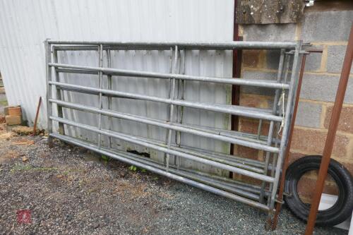 4 X 10' GALVANISED CATTLE HURDLES