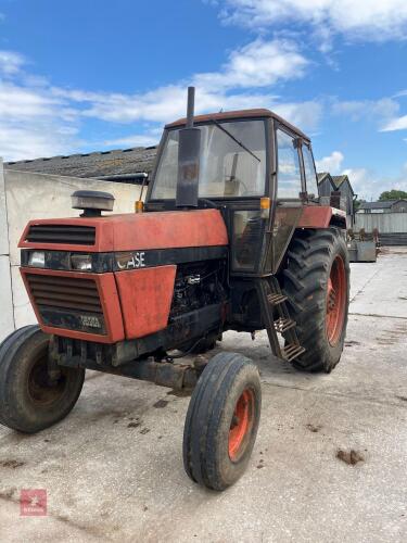 1984 CASE 1594 2WD TRACTOR