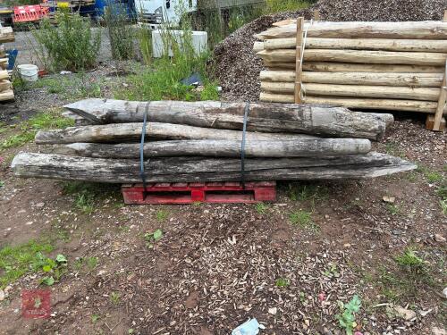 NEW PACK OF 8' STRAINING POSTS (11)