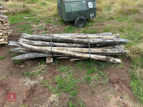 NEW PACK OF 8' STRAINING POSTS (9)