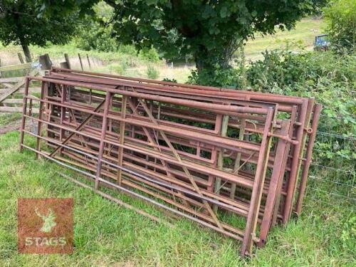 12 MIXED METAL GATES