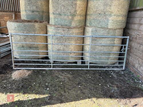 12' GALVANISED FIELD GATE (2)