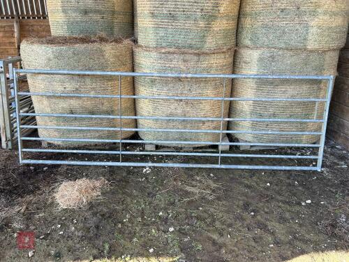 12' GALVANISED FIELD GATE (4)