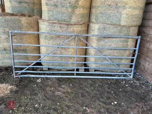 10' GALVANISED HD FIELD GATE (6)