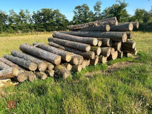 LARGE QTY OF DOUGLAS FIR & LARCH