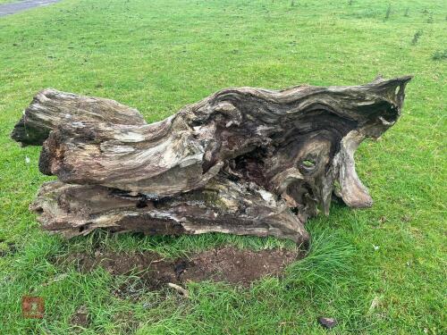 ORNAMENTAL TRUNK FEATURE