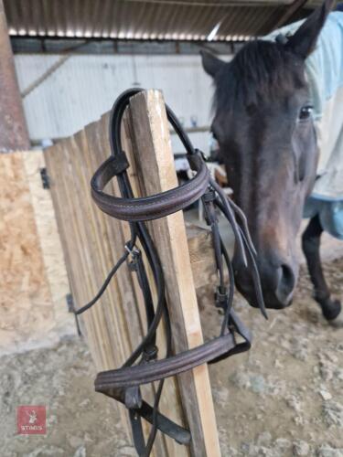 PONY BRIDLE