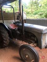 GREY FERGUSON TED20 2WD TRACTOR (S/R) - 8