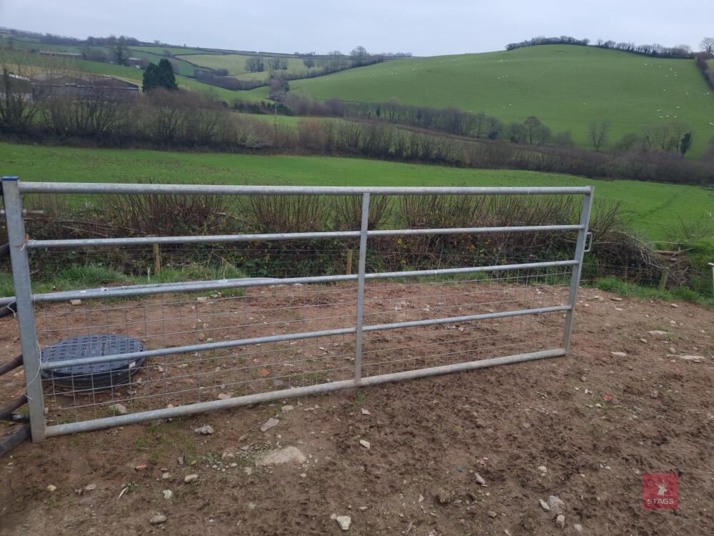 IAE 10FT GALV SHEEP GATE WITH LUGS