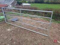 IAE 10FT GALV SHEEP GATE WITH LUGS - 2