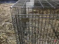 LARGE CROFT DOG CAGE - 2