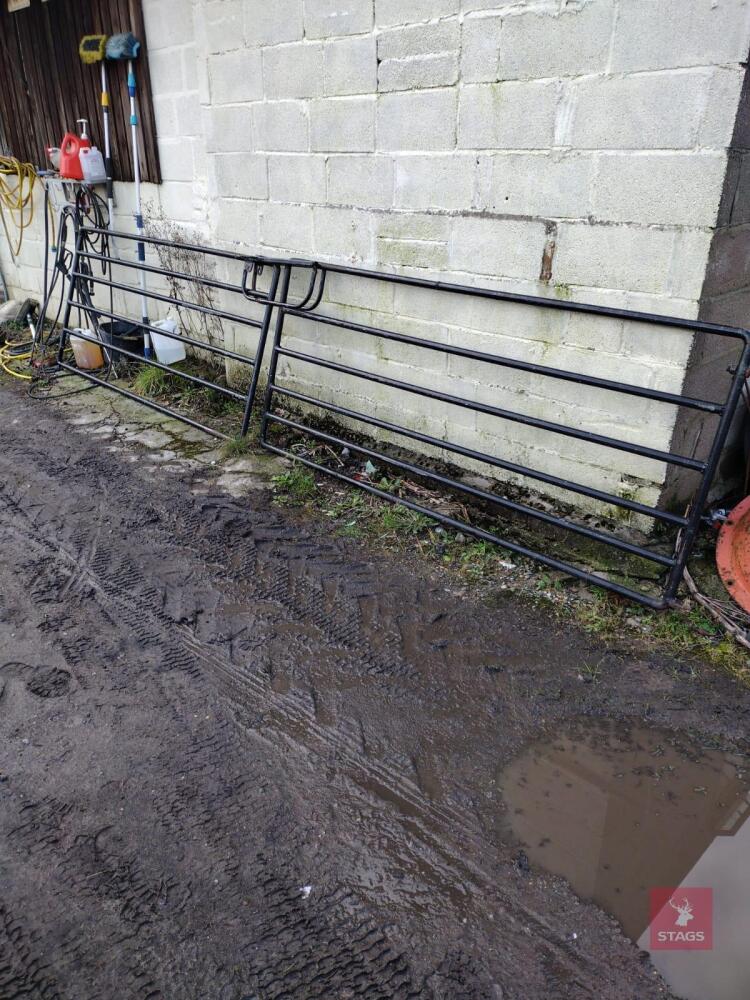 2 HEAVY DUTY PIGGERY GATES