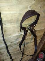 SHOW HEAD COLLAR & LEAD REIN - 2