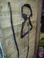 SHOW HEAD COLLAR & LEAD REIN - 3