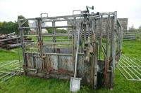 IAE CHIEFTAIN GALVANISED CATTLE CRUSH