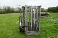 IAE CHIEFTAIN GALVANISED CATTLE CRUSH - 2