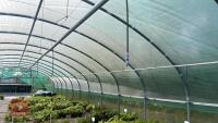 27' X 72' SINGLE NORTHERN POLYTUNNEL - 7