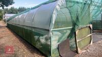 27' X 72' SINGLE NORTHERN POLYTUNNEL - 11