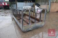 10' X 5' GALV CATTLE RECTANGULAR FEEDER - 6