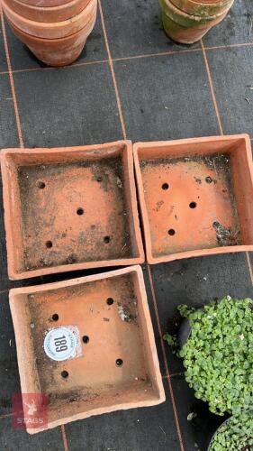 3 SANKEY TERRACOTTA SEED TRAYS