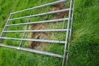 2 IAE 8' GALVANISED CATTLE HURDLES - 5