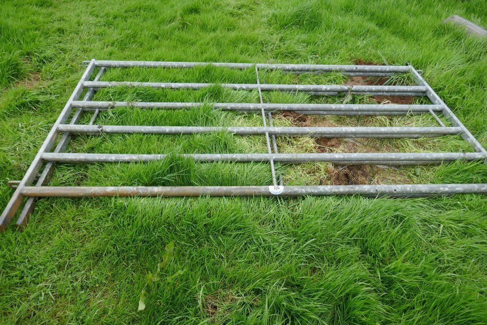 1 IAE 10' GALV CATTLE AND SHEEP GATE