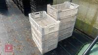 9 WHITE PLASTIC CRATES - 5