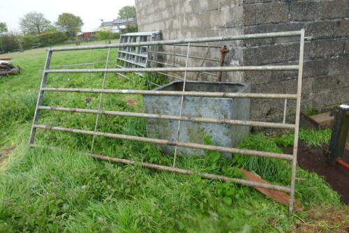 IAE 10' GALVANISED CATTLE HURDLE