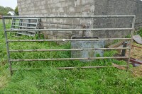 IAE 10' GALVANISED CATTLE HURDLE - 4