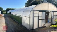 43' X 112' TWIN BAY NORTHERN POLYTUNNEL - 2