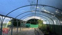 43' X 112' TWIN BAY NORTHERN POLYTUNNEL - 15