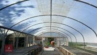 43' X 112' TWIN BAY NORTHERN POLYTUNNEL - 18