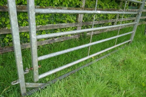 IAE 10' GALVANISED ARCH LOADING GATE