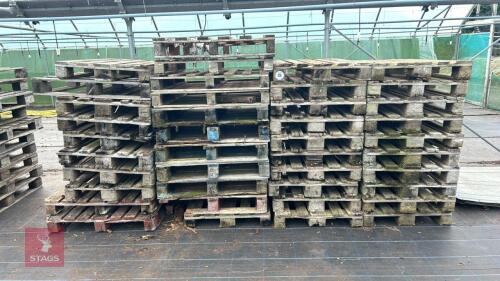 50 PALLETS FOR FIREWOOD