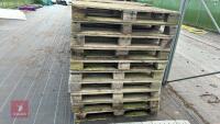 50 PALLETS FOR FIREWOOD - 3