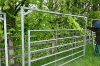 IAE 10' GALVANISED ARCH LOADING GATE - 3