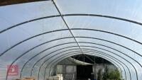 30' X112' SINGLE BAY NORTHERN POLYTUNNEL - 13