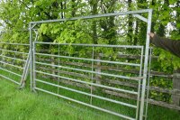 IAE 10' GALVANISED ARCH LOADING GATE - 4