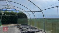 53' X 70' TWIN BAY NORTHERN POLYTUNNEL - 11