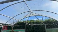 53' X 70' TWIN BAY NORTHERN POLYTUNNEL - 12